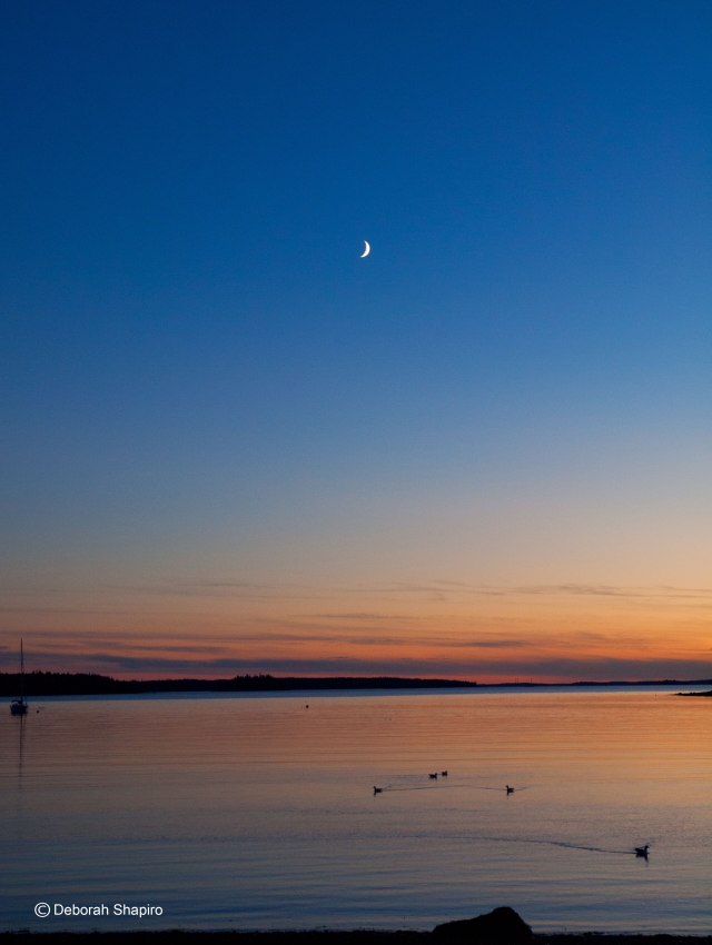 Sunset, Penobscot Bay