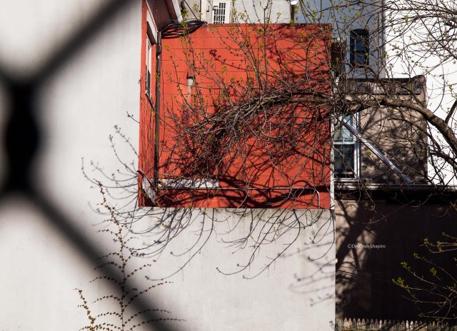 Bond Street, Brooklyn