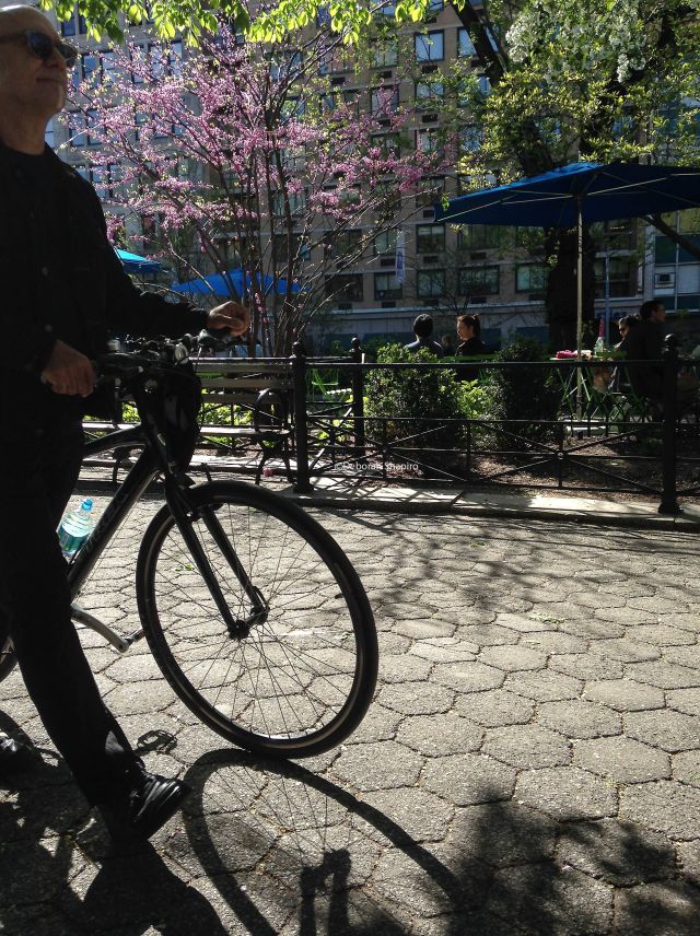 Sunday afternoon in Union Square Park