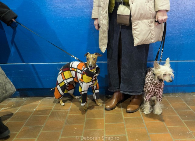 Didn't win. Time to go home. 