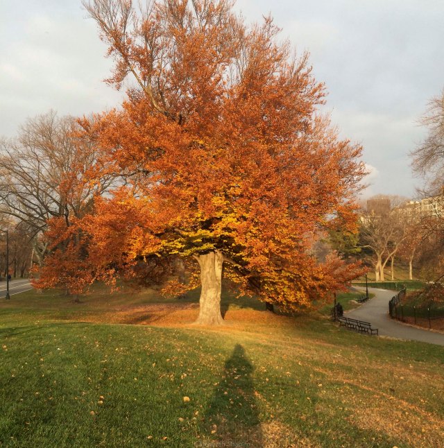 20151209-IMG_9591-Edit