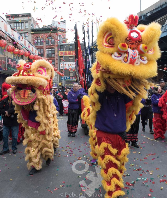 Lion Dancers